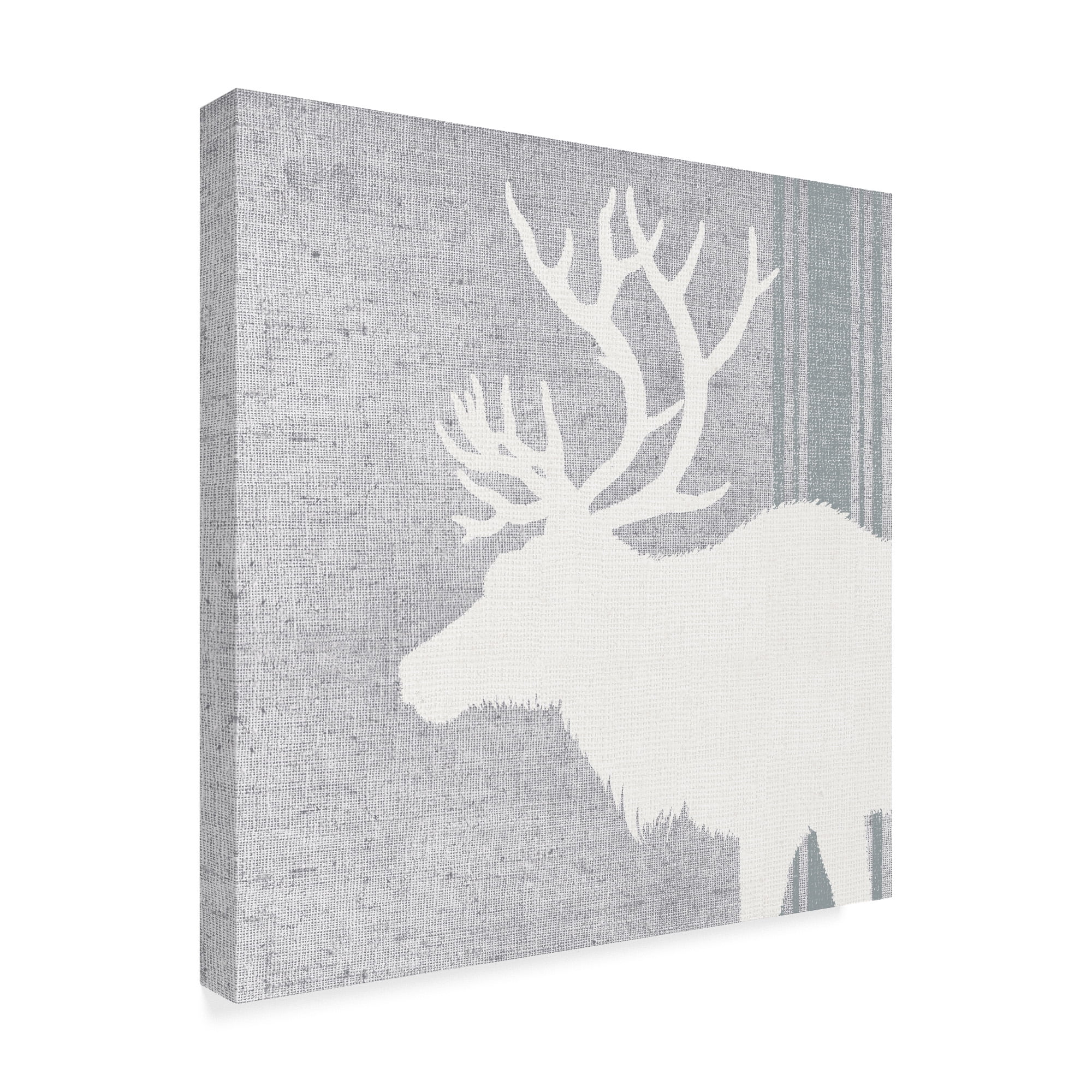 Trademark Fine Art 'Woodland Animal II' Canvas Art by Wild Apple Portfolio