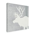 thumbnail image 3 of Trademark Fine Art 'Woodland Animal II' Canvas Art by Wild Apple Portfolio, 3 of 3