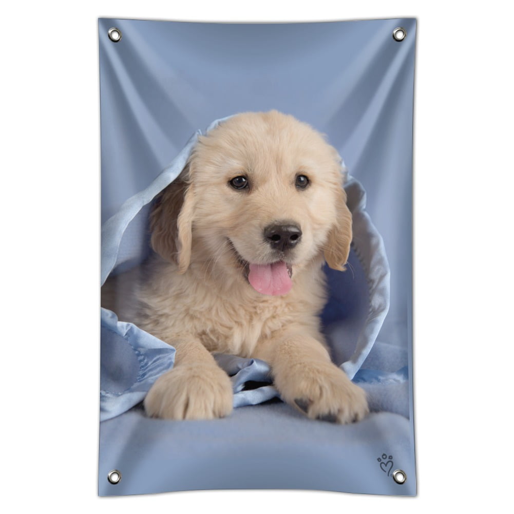 Golden Retriever Puppy Dog Wrapped In Blanket Home Business Office Sign Walmart Com Walmart Com
