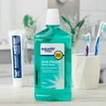 (2 pack) Equate Plaque Removing Mouthwash, Mint, 24 Fl oz