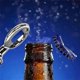 thumbnail image 5 of 10Pcs Bottle Opener Blank DIY Beer Bottle Opener Stainless Steel Flat Bottle Opener Inserts Kit Bee, 5 of 5