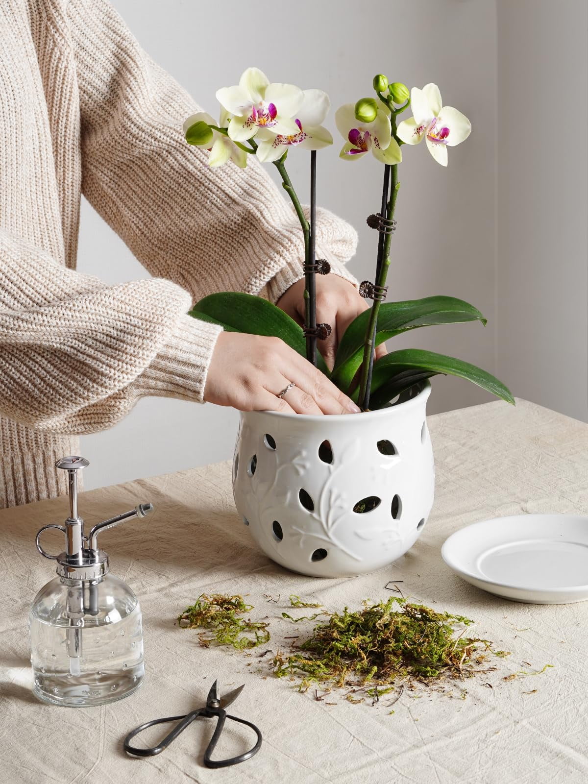 LE TAUCI Orchid Pot, 6.5 Inch Ceramic Planter with Drainage Hole and Saucer, White Indoor Plant Pot for Repotting(Plant not included)