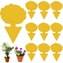 QARUN Fruit Fly Traps for Indoors,Sticky Traps for Gnats Fly Repellent for Outdoor,Gnat Traps for Plants,10-Pieces