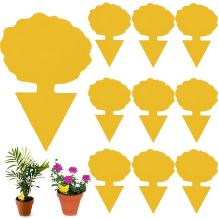 QARUN Fruit Fly Traps for Indoors,Sticky Traps for Gnats Fly Repellent for Outdoor,Gnat Traps for Plants,10-Pieces