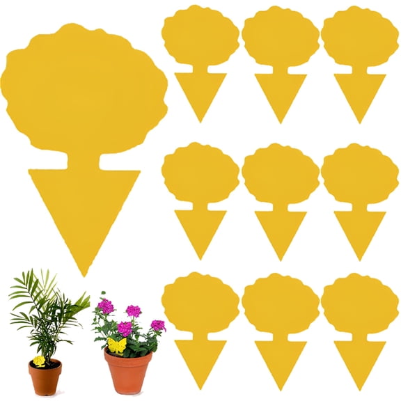 QARUN Fruit Fly Traps for Indoors,Sticky Traps for Gnats Fly Repellent for Outdoor,Gnat Traps for Plants,10-Pieces
