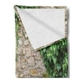 thumbnail image 2 of Brick Wall Soft Flannel Fleece Throw Blanket, Aged Old Stone Wall Partially Covered with Green Ivy Plant Growth Image, Cozy Plush for Indoor and Outdoor Use, 60" x 80", Beige Fern Green, by Ambesonne, 2 of 5