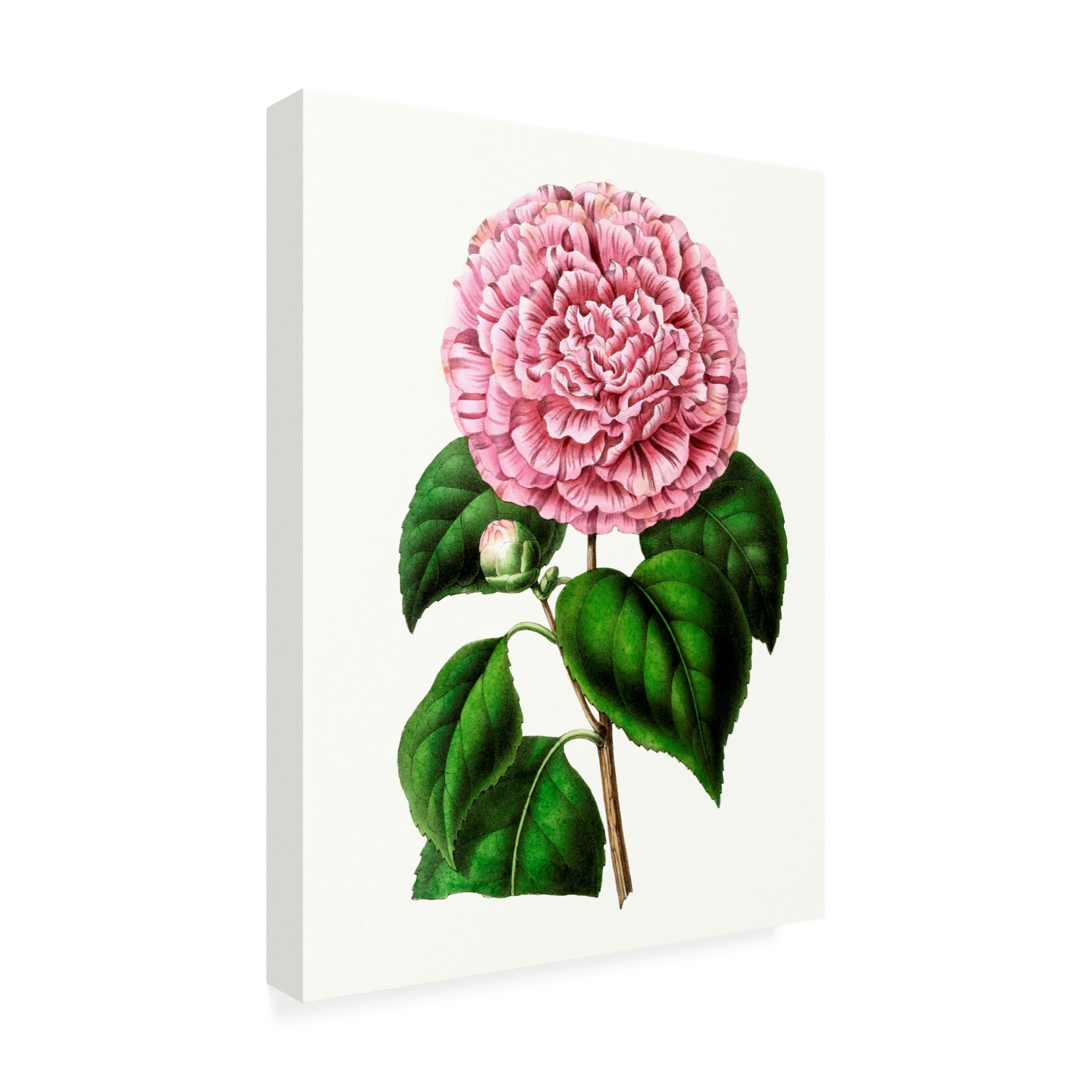 Unknown 'Grand Blooms II' Canvas Art
