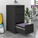 thumbnail image 1 of Qinaqin Resistente 3 Cajón Vertical Archivos Gabinete con Cerradura Metálico Steel Almacenamiento para Oficina en Casa Fits Letter & Legal Size Files Assembly Required Negro, 1 of 7