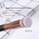 thumbnail image 4 of Juego de brochas Kabuki ENERGY – Mini brocha Kabuki de parte superior plana y brocha correctora inclinada debajo de los ojos para cejas, brochas de sombra de ojos para crema líquida, polvo, mezcla, re, 4 of 5
