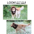 thumbnail image 2 of Disfraz para perro Onmygogo, divertido, alce y toro, talla M, 2 of 7