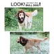 thumbnail image 2 of Peluca de perro Onmygogo con disfraz de alce, talla L, 2 of 7