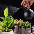 thumbnail image 2 of 500ml Indoor Watering Can Stainless Steel Decorative Watering Pot Sprinkling Pot, 2 of 5