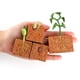 thumbnail image 4 of Xihbxyly Oferta Del Día Prime Liquidación de Hoy Jugues Model Of Ciclo de Crecimiento para Niños con Simulación Educativa, 4 of 7