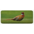 thumbnail image 1 of Bird Kitchen Mat, Common Pheasant Long Tail on the Grass Meadow Habitat Czech Republic European, Plush Decorative Kitchen Mat with Non Slip Backing, 47" X 19", Green Orange Red, by Ambesonne, 1 of 1