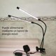 thumbnail image 3 of 84 Lámpara Led Cultivo Espectro Completo con Clip Para Plantas Interior 6000K,Led 74 Blancos y 10 Rojos,Regulable En 5 Niveles,Temporizador 3, 9 y 12 Horas,IP55 (Luz roja y blanca 84 LED), 3 of 9