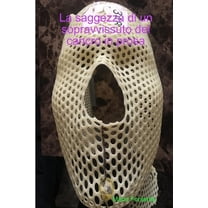 La saggezza di un sopravvissuto del cancro in prosa, (Paperback)