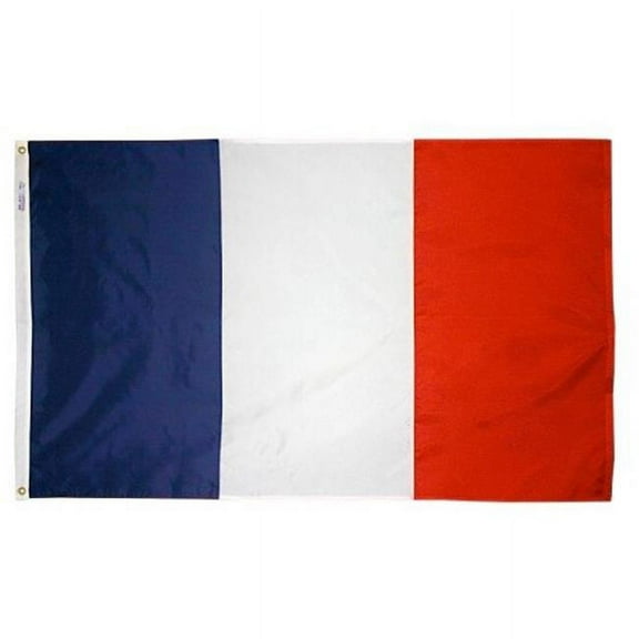 4 ft. X 6 ft. Nyl-Glo France Flag