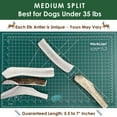 thumbnail image 5 of Deluxe Naturals 4-Pack Medium Split Elk Antler Dog Chews, Naturally Shed A-Grade Elk Antler Treat for Small and Tiny Dogs, 5 of 10