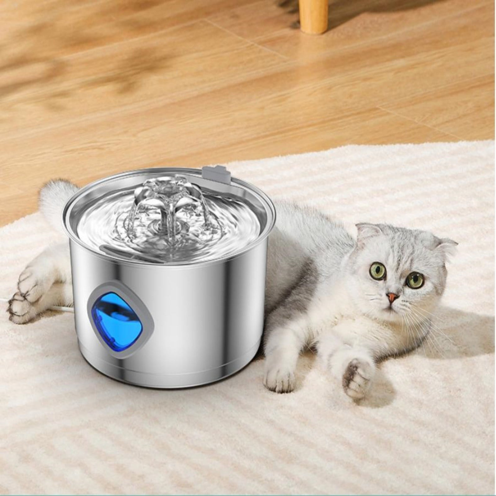 Water Bowl Quadruple Filtration System for Quiet Continuous Circulation Stainless Steel Display Water Dispenser with and Easy Cleaning for Indoor Use