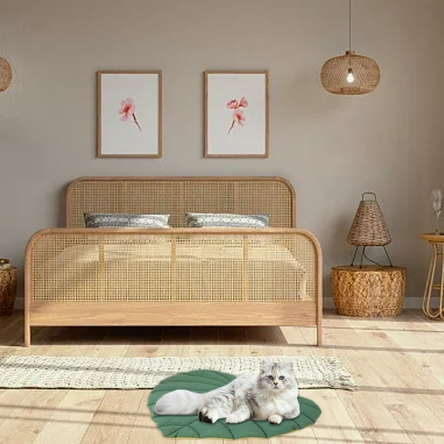 Tapis de Sol Épais pour Animaux Forme de Feuille Lit pour Chien Chat Tapis de Chenil Confortable Durable Lavable pour Usage Intérieur Extérieur