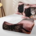 thumbnail image 4 of Manfei Cute Kitten Twin Quilt Set, Pet Animal Twin Coverlet Set, Pink, 2pcs, 1 Bedspread and 1 Pillowcase, 4 of 7