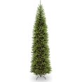 thumbnail image 1 of National Tree 10 Foot Kingswood Fir Pencil Tree (KW7-500-100), 1 of 6
