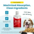 thumbnail image 2 of Paramount Pet Health Liquid Glucosamine Hip & Joint Support Supplement for Dogs - 32 oz, 2 of 10