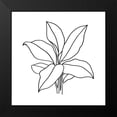 thumbnail image 2 of Warren, Annie 12x12 Black Modern Framed Museum Art Print Titled - Foliage Contour II, 2 of 5