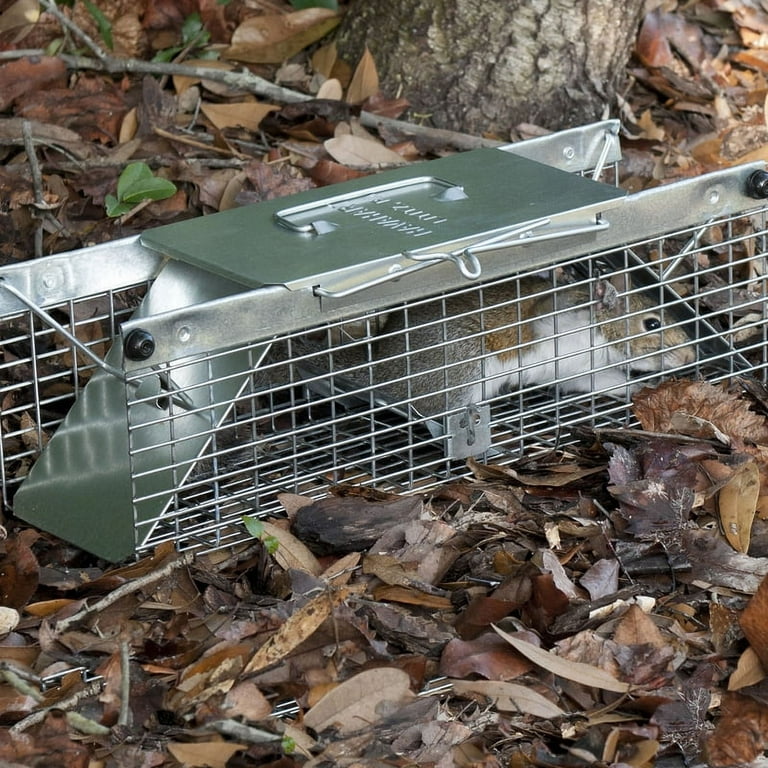 Woodstream Havahart Mouse Size Humane Live Animal Trap - Feeders