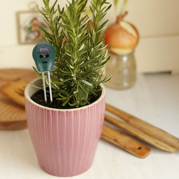 FENGGUIQU Soil and Moisture Meter, Plant Humidity Tester for Garden Beds, Flower Pots, Indoor and Outdoor Plant Care