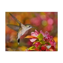 Trademark Fine Art 'The Flower Dance IX' Canvas Art by Leda Robertson