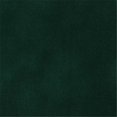 thumbnail image 1 of Designer Fabrics C860 54 Po Large Vert- Velours Uni Automotive- Résidentiel et Commercial Velours Rembourrage, 1 of 1
