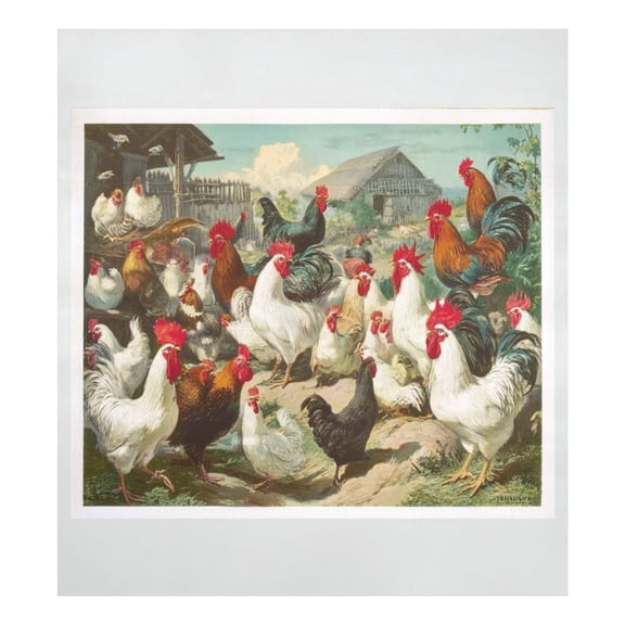 IAUYY Magnetic decorative sticker - 23x26 Inch PVC Refrigerator Decorative Cover, Removable DIY Art for Kitchen Appliances Numerous Flocks Of Chickens