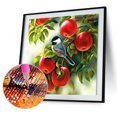 thumbnail image 1 of Cuadros Decorativos pintura de diamantes DQrwqpou Nuevos Originales, 1 of 9