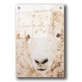 thumbnail image 1 of Epic Art 'Woolly' by Diane Fifer, Acrylic Glass Wall Art, 24"x36", 1 of 3