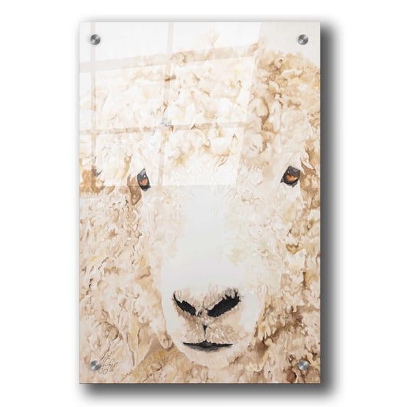 Epic Art 'Woolly' by Diane Fifer, Acrylic Glass Wall Art, 24"x36"