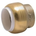 thumbnail image 1 of Cash Acme UIP514A Shark Bite PVC Cap 0.5 in. Ips Rt Lead Free Bag, 1 of 1