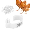 thumbnail image 4 of Poultry Leg Bands, Safe And Non- 10pcs/set Chicken Foot Rings  For Poultry For Outdoors For Daily For Home White, 4 of 8