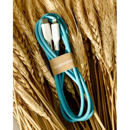 Bluebonnet - 4' USB-C to Lightning Charging Cable - Blue