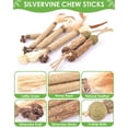thumbnail image 4 of Chew Toys TINDTOP Catnip para gatos con Silvervine, paquete de 12, 4 of 7