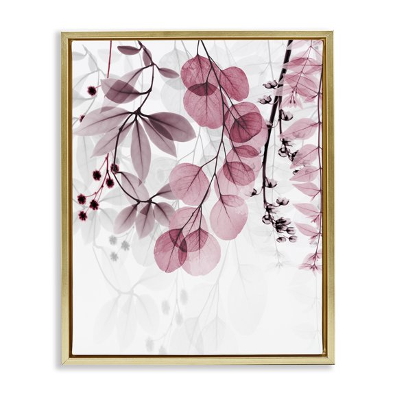 Stupell Industries Glam Vivid Matter Botanicals Gold Floating Frame Canvas Art, 25 x 31, by Albert Koetsier