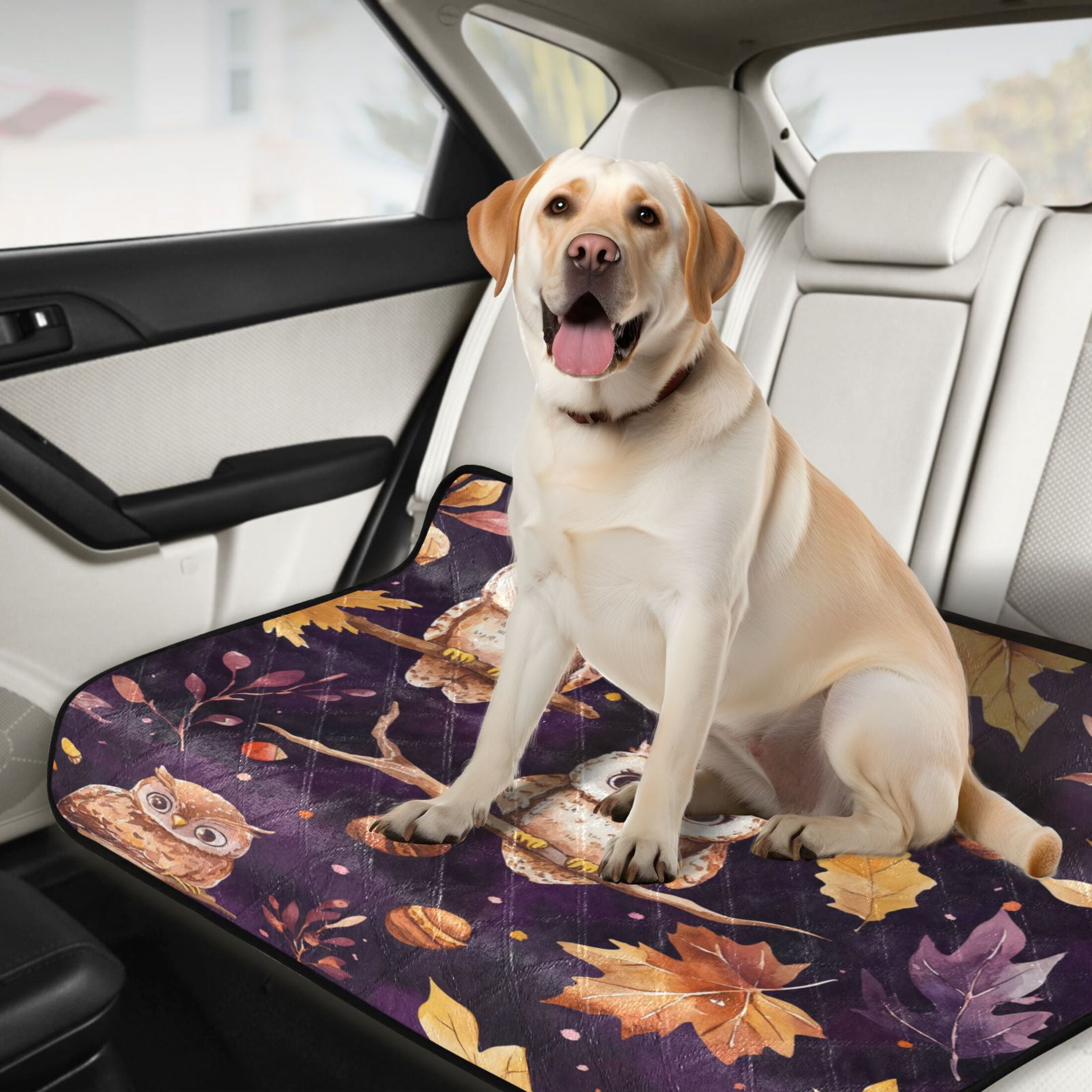 Qxltty Adorable Baby Owls and Acorns Pattern Cat litter Pads Pet Set of 3 Diaper Mats Center Anti-leakage Layer Absorbent Soft and Comfortable