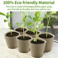 thumbnail image 3 of Elegant Choise 50-100PCS Biodegradable Nursery Pots Garden Plant Grow Seedling Planting Pots, 3 of 17