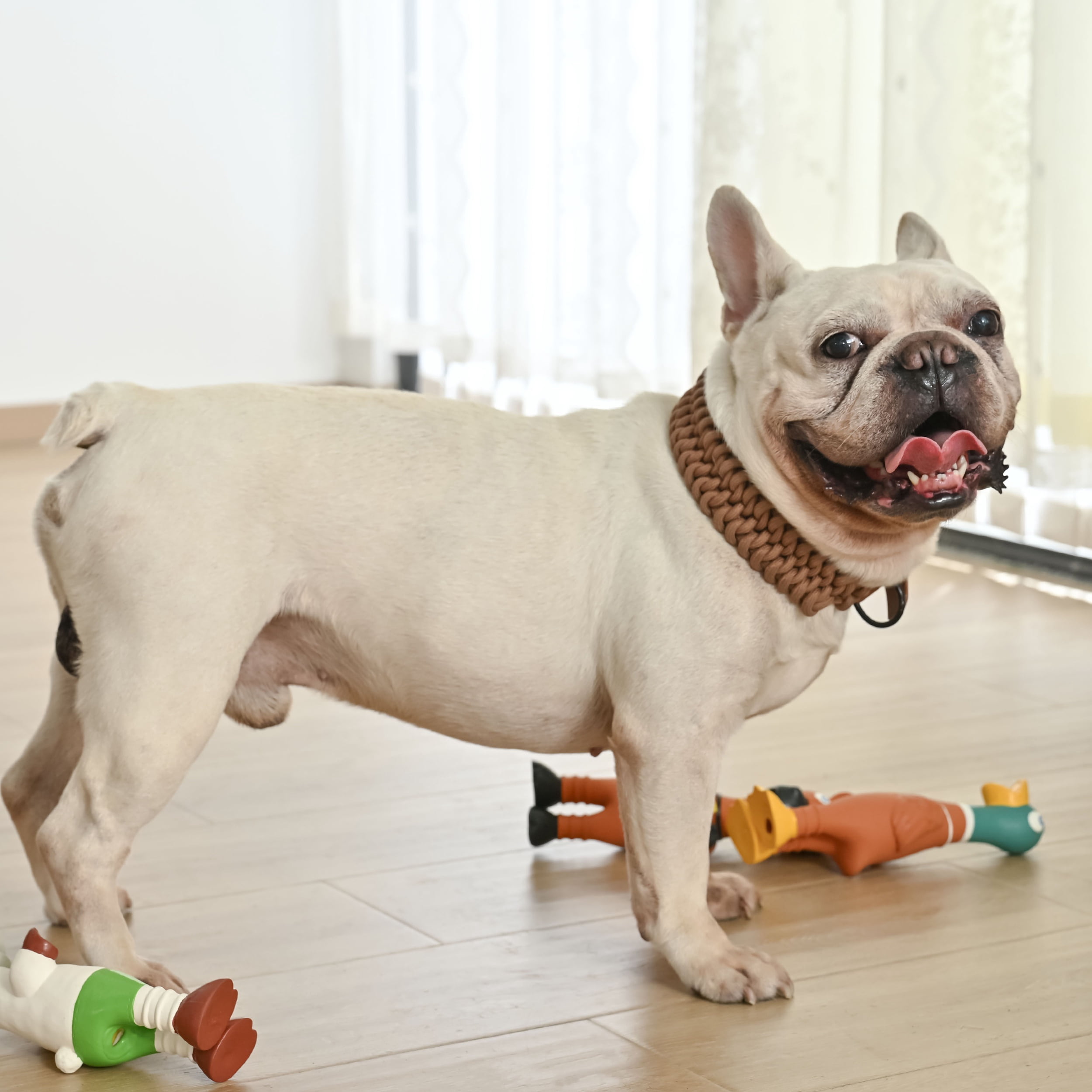 Max & Marlow 9.2" Squeaky Dog Toys for Small Dog, 3 Pack Funny Latex Puppy Chew Toys