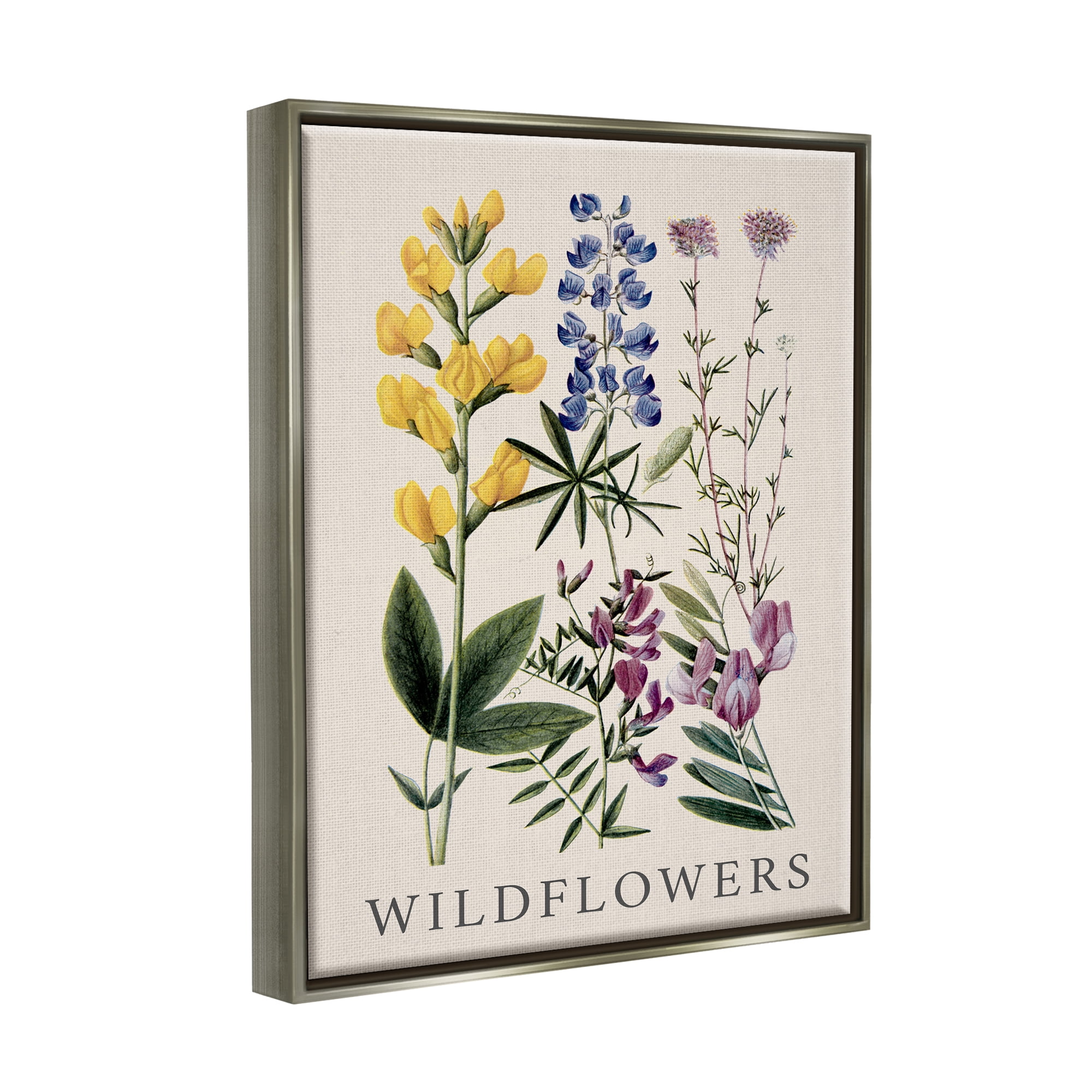 Stupell Industries Wildflower Species Study Botanical & Floral Painting Gray Floater Framed Canvas Art Print Wall Art, 17 x 21