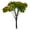 D, variant on Mixed Model Trees,1pcs,1.57-2.75 inch,Ho Scale Bushes,Diorama Supplies,Plastic Trees for Projects,Model Train Scenery with No Bases
