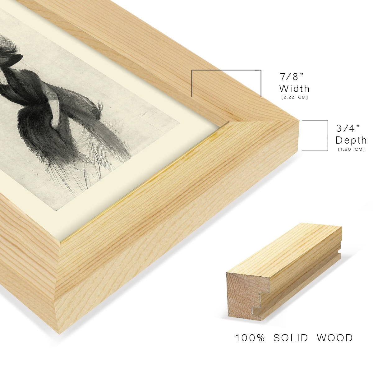 Feather Hat II -Framed Print w/glass-Natural Wood