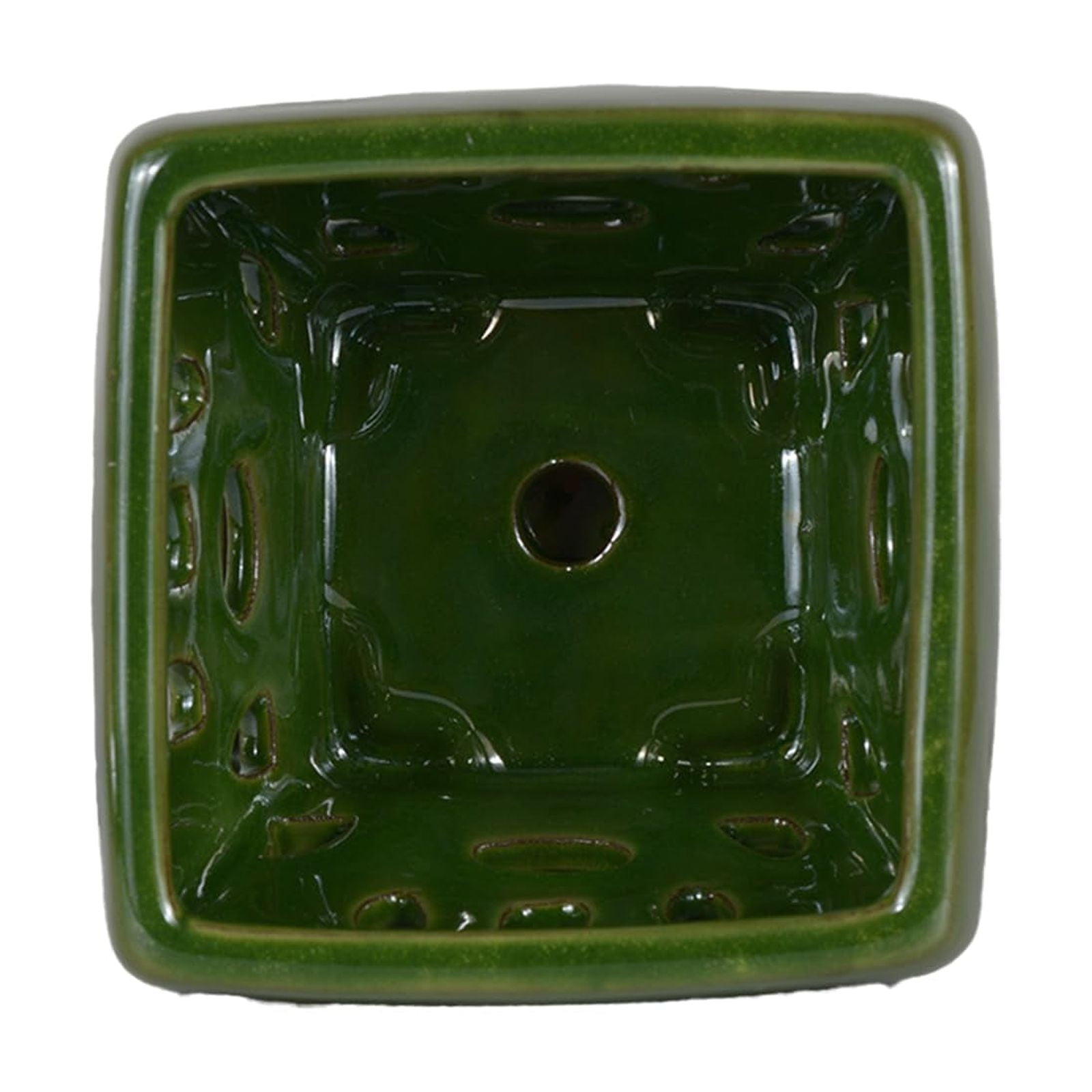 W&W Orchid Pot with Holes and Saucer for Orchid Repotting and Better Grow, SeaGreen, 5.5 inches