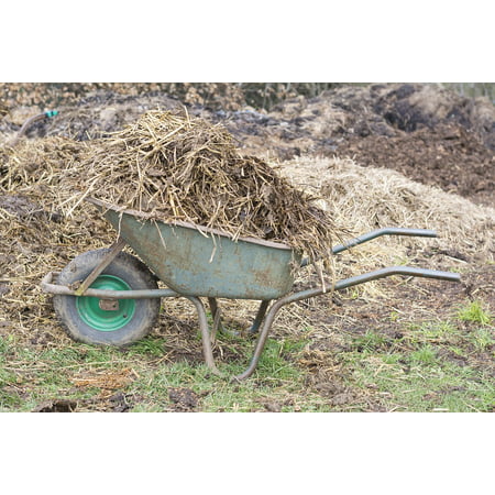 Canvas Print Manure Wheelbarrow Wheelbarrows Waste Agriculture Stretched Canvas 10 x (Best Wheelbarrow For Horse Manure)