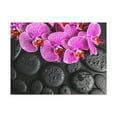 thumbnail image 2 of Violet Orchid on Stones Forest Floral Nature Photography Canvas Wall Art for Home Decor Ready-to-Hang, 2 of 18